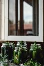 Cucumbers Preserved in Glass Jars