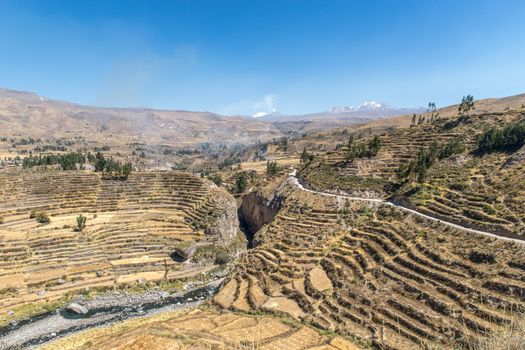 Scenery of Terraces and Mountains under Blue Sky