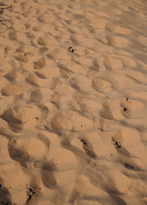 Free Dry sandy desert with pits and dunes Stock Photo