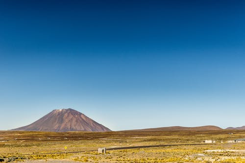 A Grassland under the Blue Sky