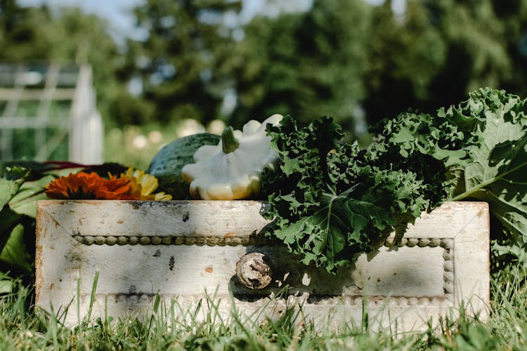 Close Up Of A Box With Vegetables