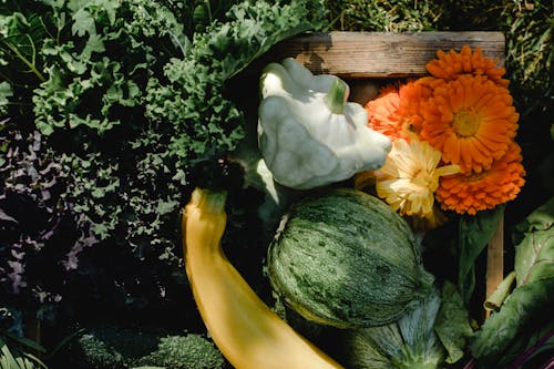Kale, Squash, Zucchini, Patty Pan and Flowers