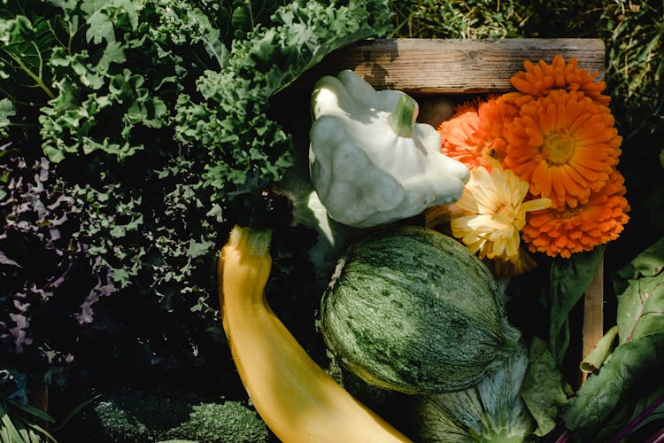 Kale, Squash, Zucchini, Patty Pan And Flowers