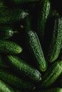 Close-Up Photo of Green Cucumbers
