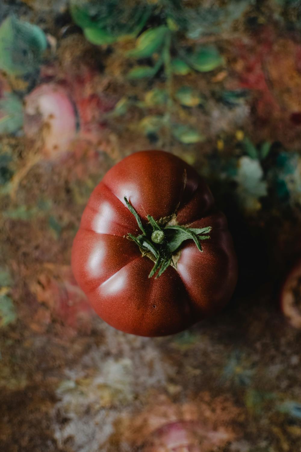 what is a Heirloom tomato