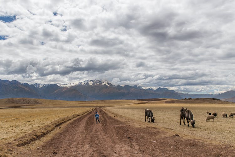 Person Standing On Dirt Road Under Cloudy Sky