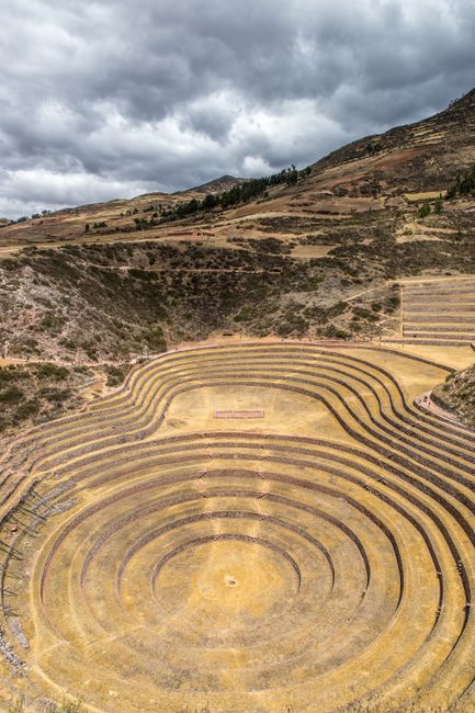 Moray Terraces