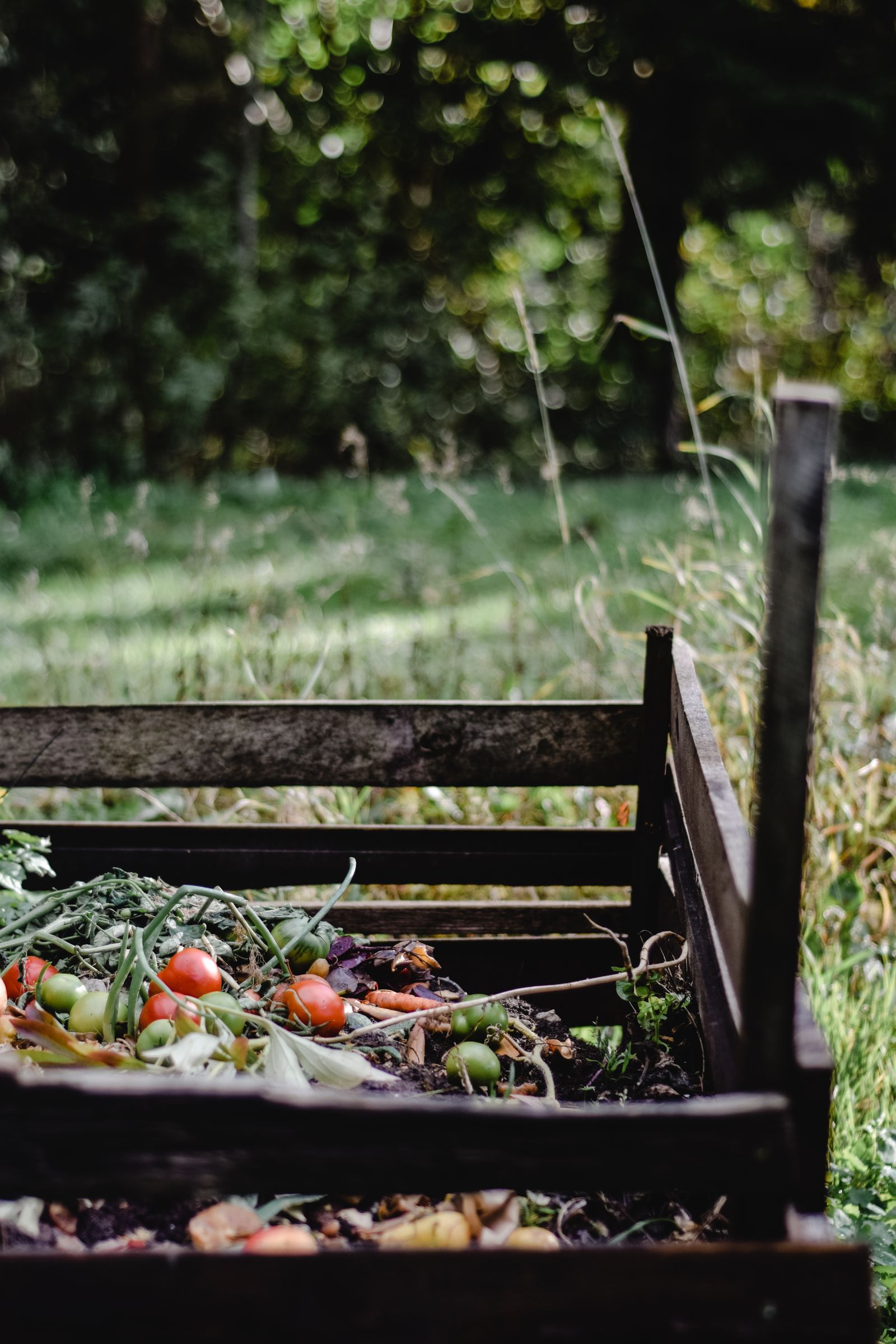 Compost bin with vegetable trimmings in a garden