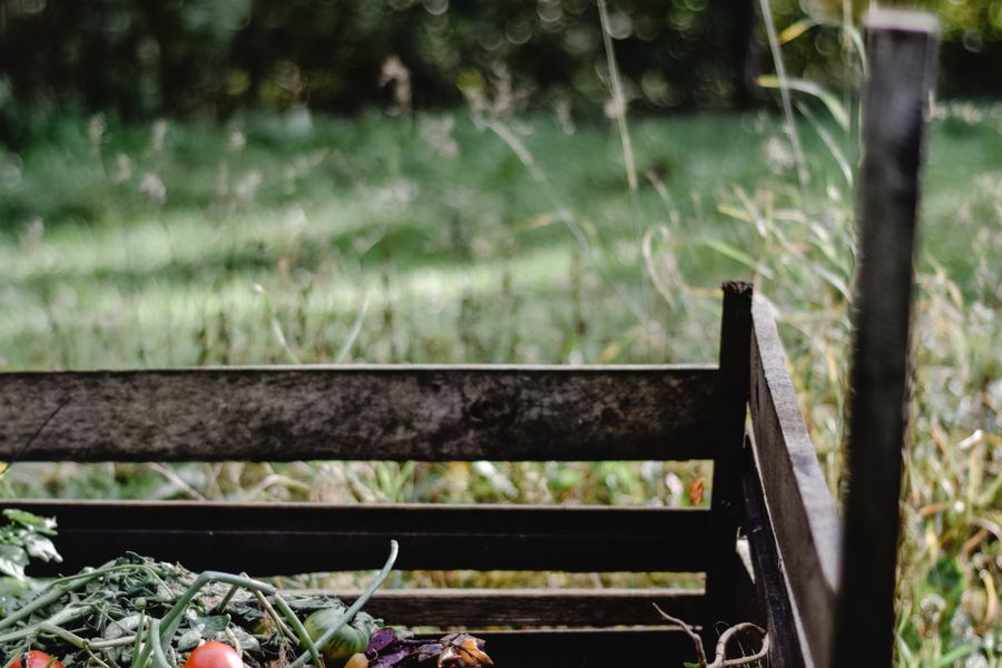How to Start Composting at Home