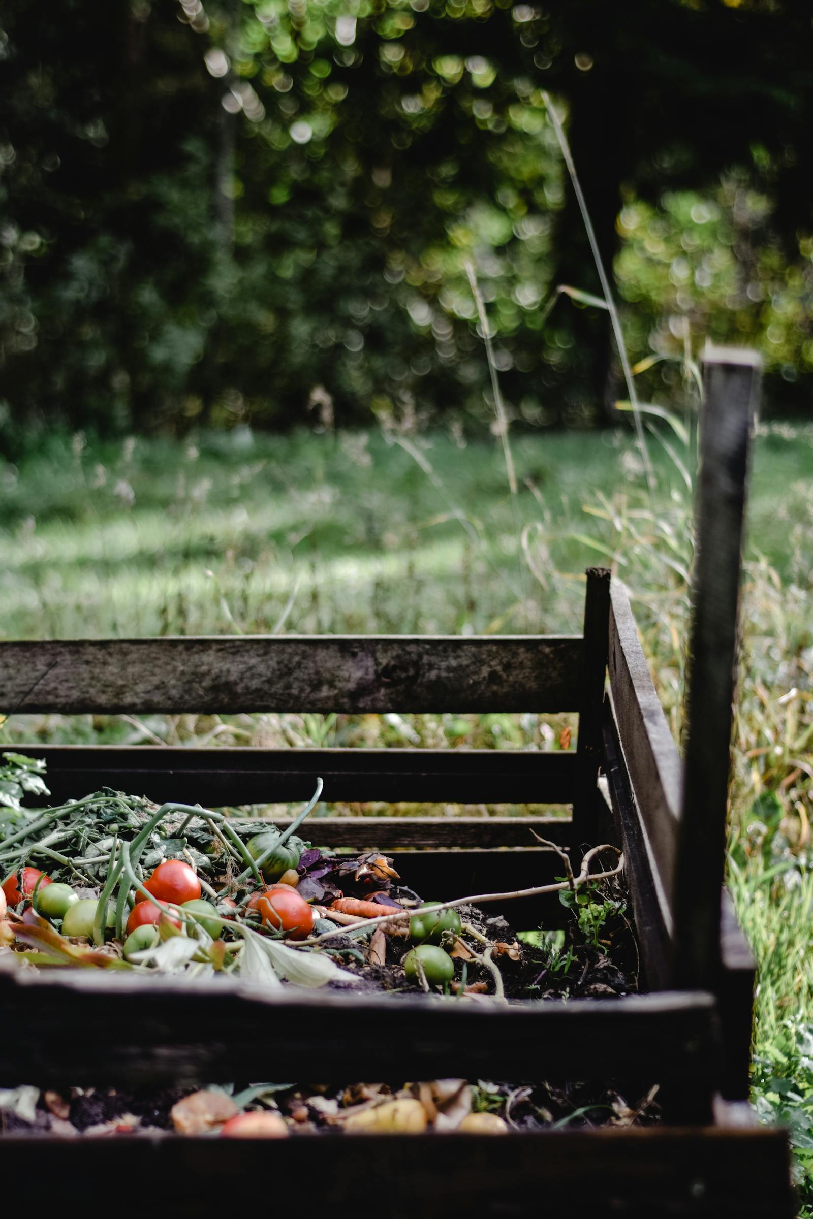 5 Methods for Composting at Home