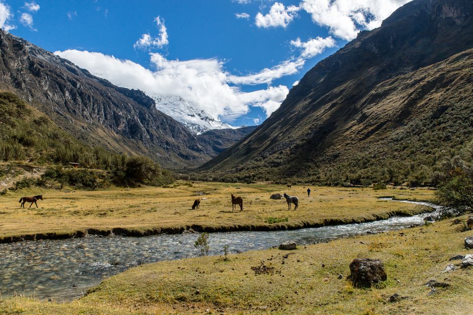 Best Amazonian Full Exploration 4 Days 3 Nights 360 USD Review: The Ultimate Peru Jungle Adventure Review 2026 - Beautiful mountain valley with horses grazing by a clear creek under a blue sky.