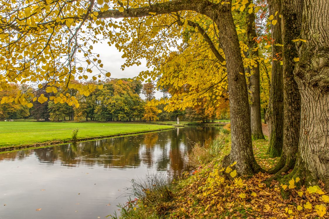 A Park in Autumn · Free Stock Photo