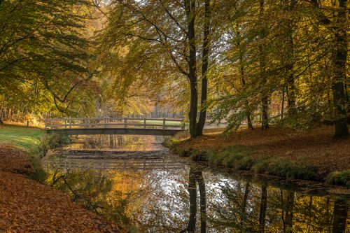 Free Tranquil autumn scenery featuring a wooden bridge over a stream in a lush park. Stock Photo