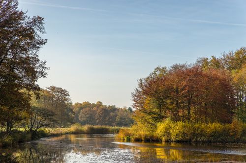 Free Serene autumn landscape with a calm lake reflecting colorful trees in a peaceful countryside setting. Stock Photo