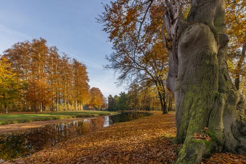 Free A peaceful autumn scene with colorful trees and a reflecting river. Stock Photo