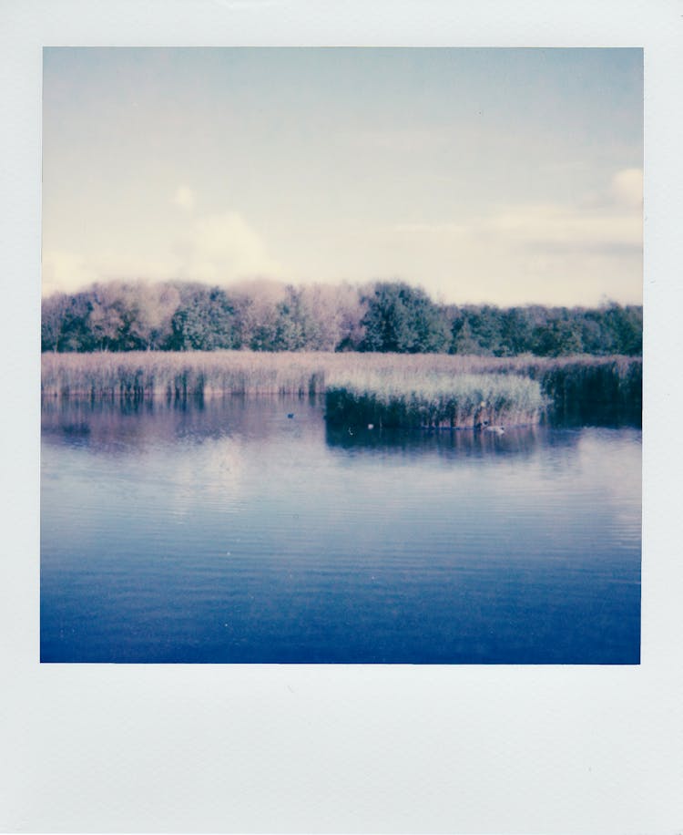 Polaroid Photo Of Lake Shore