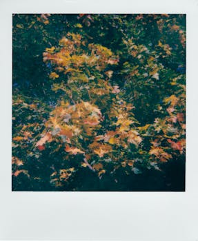 A blurred artistic capture of colorful autumn leaves, evoking a sense of movement and nature's beauty.