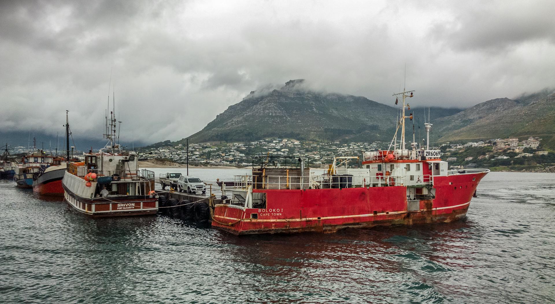 Fishing boats docked at Cape Town harbor with scenic mountain backdrop.