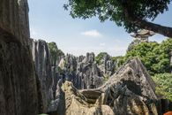 Naigu Stone Forest in China
