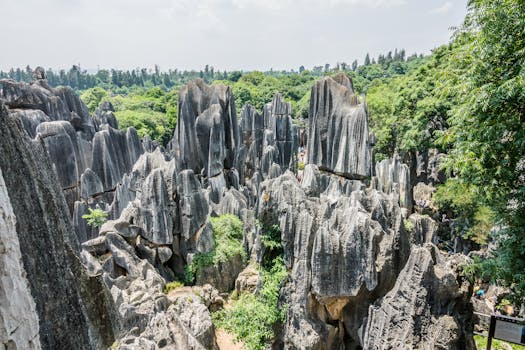 Explore the dramatic rock formations of China's Naigu Stone Forest, a stunning natural wonder.