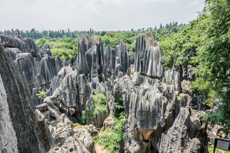 Naigu Stone Forest In China 