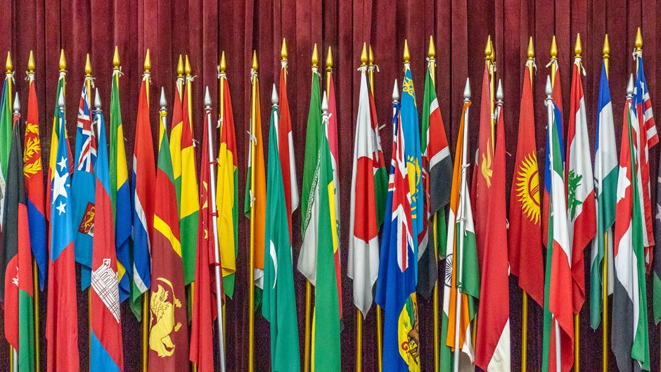 A vibrant collection of diverse national flags arrayed indoors on flagpoles.