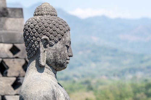 Kostenloses Stock Foto zu buddha, buddhismus, kopie raum