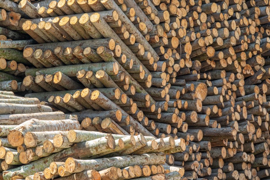 urban wood salvage operations - climate smart hardwood products urban wood salvage operations - climate smart hardwood products