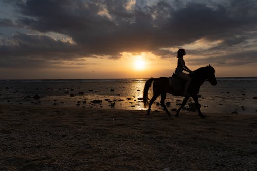 Silhouette of Woman on Horse Riding on Beach