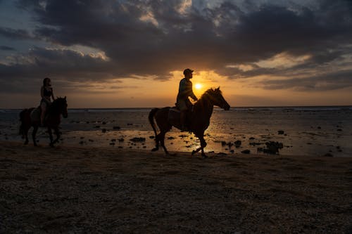 People Horseback Riding along Beach at Sunset