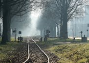 Tram Tracks Between Trees