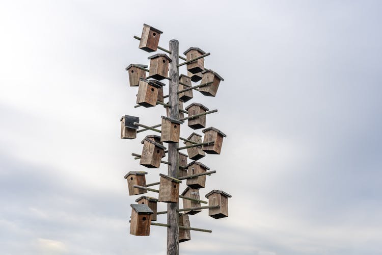 Bird Houses On The Wood Pole