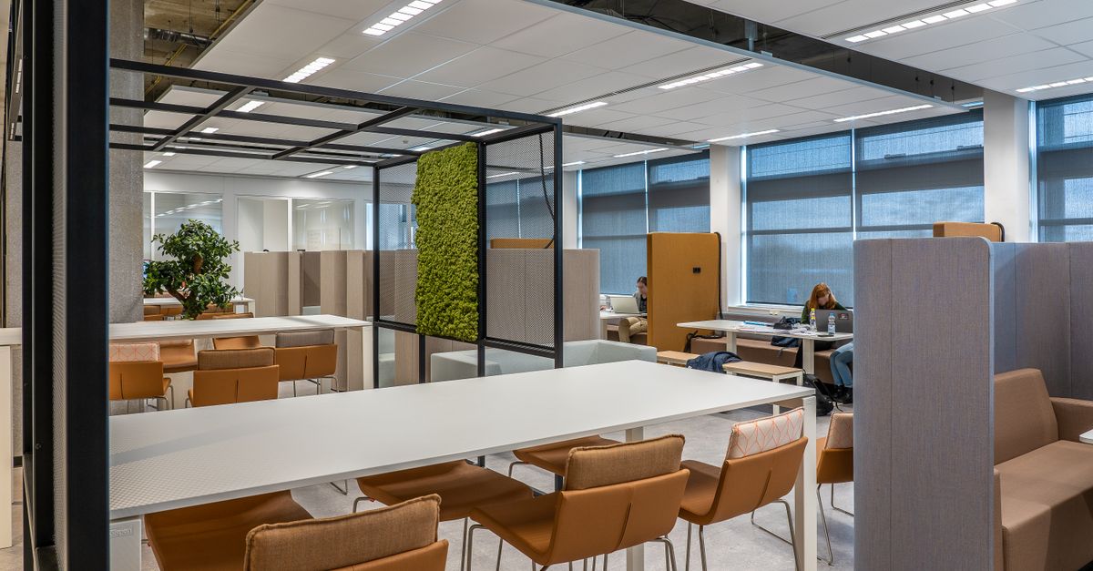 Les meilleures pratiques pour la connectivité professionnelle efficace