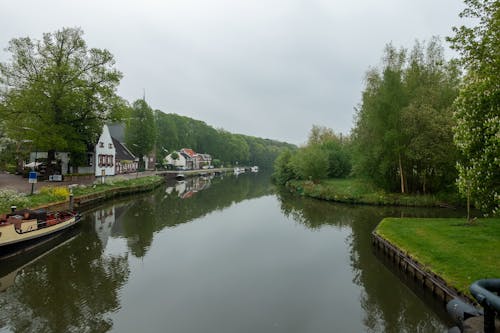 Photos gratuites de arbres, bateau, bord de rivière