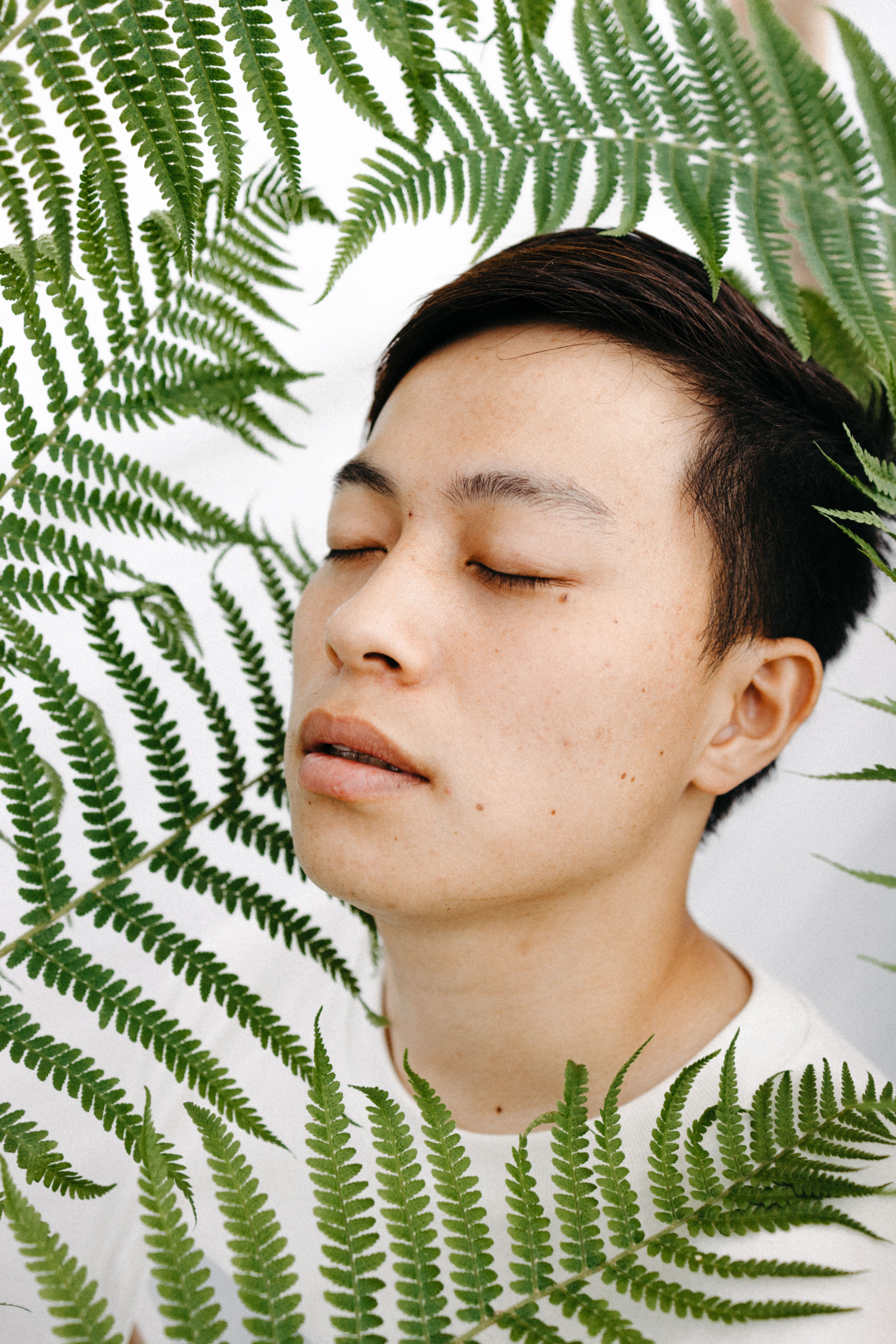 这幅肖像画描绘了一个闭着眼睛、被蕨类植物叶子环绕的男人，画面十分宁静