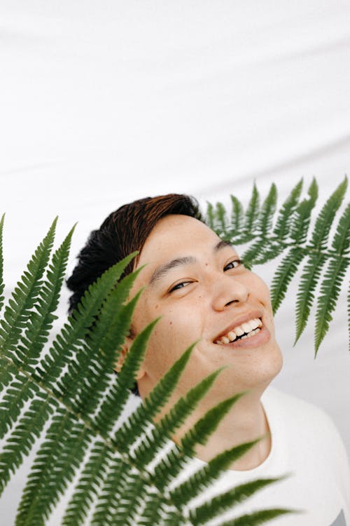 고사리 잎, 수직 쐈어, 아시아 남자의 무료 스톡 사진