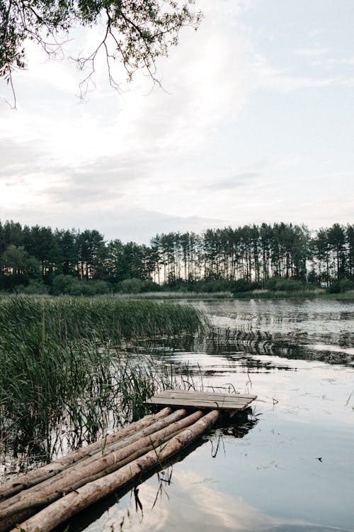  Wooden Dock on the Lake 