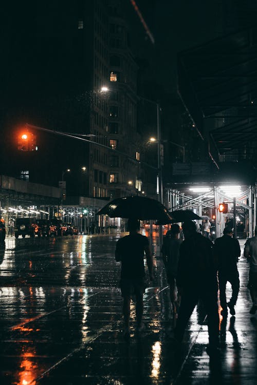 Free Back view of unrecognizable people silhouettes strolling on wet asphalt road illuminated by glowing lights in city at dusk in rainy weather Stock Photo