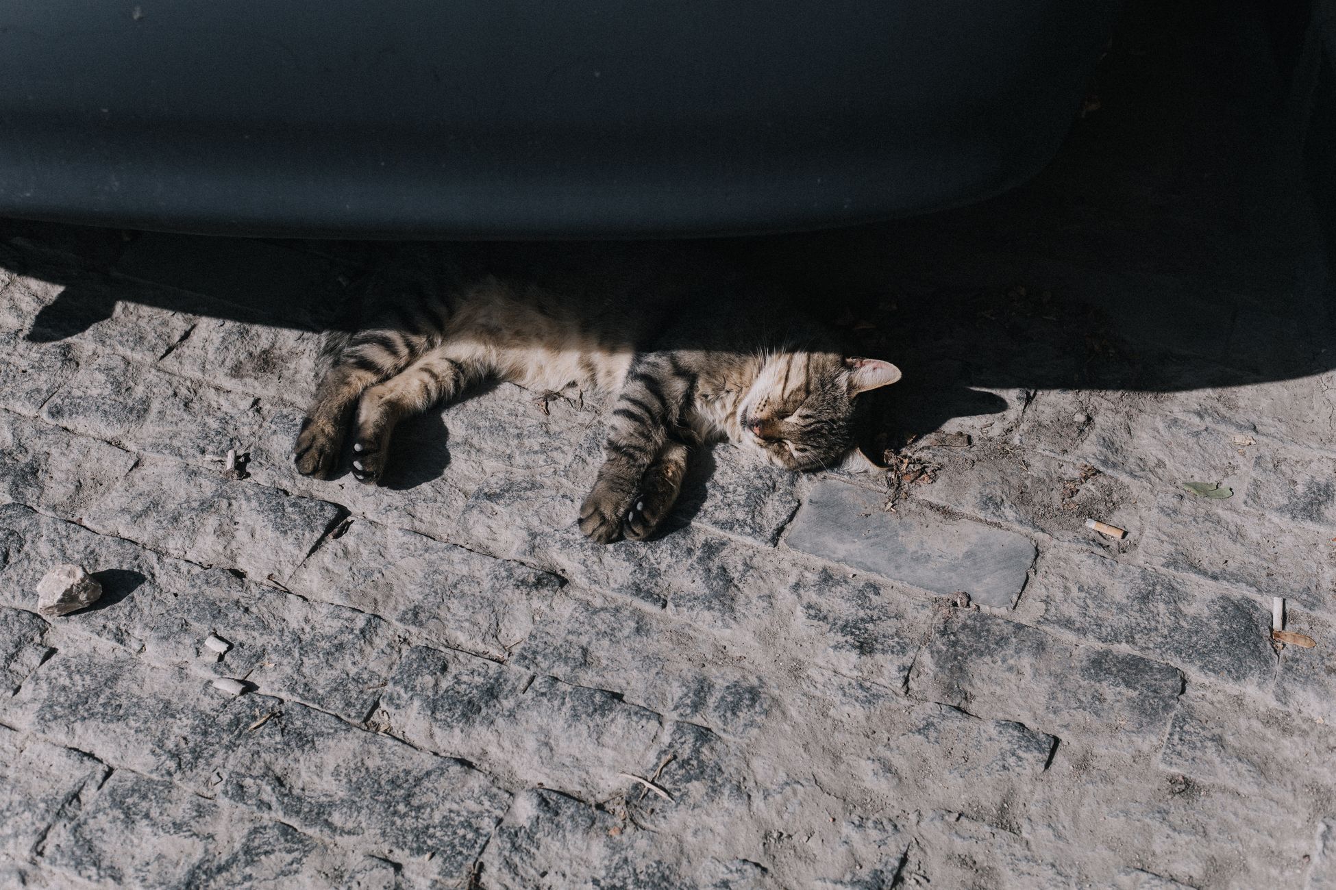 Kat zoekt verkoeling in dakgoot tijdens tropische nacht