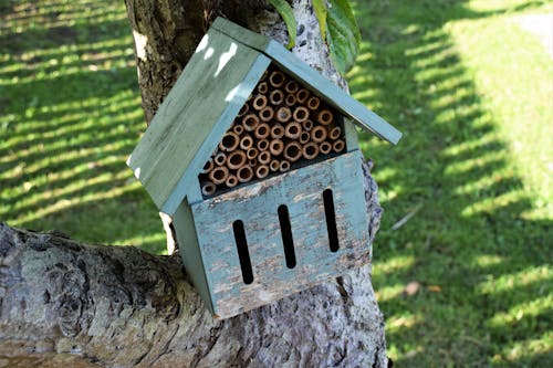 Δωρεάν στοκ φωτογραφιών με bug hotel, άγρια φύση, βιότοπος