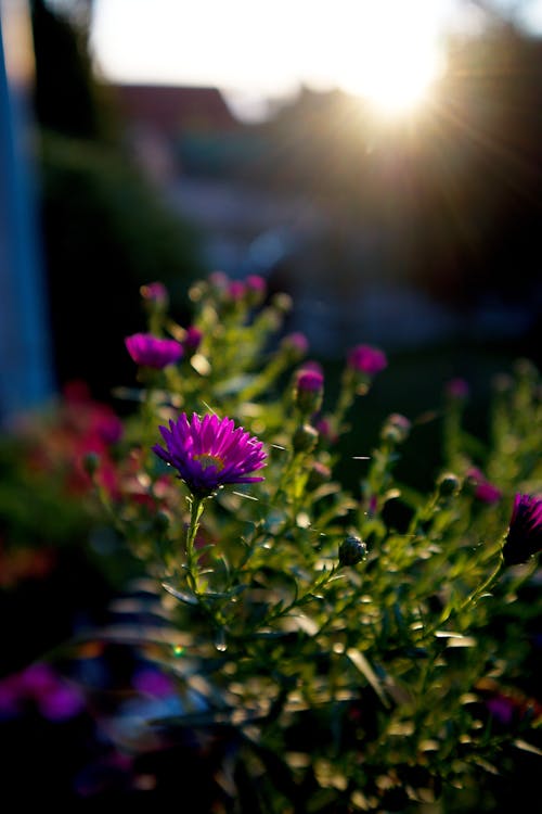 Free stock photo of blurred backgound, blurry background, day