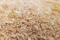 Brown Dried Leaves on Ground