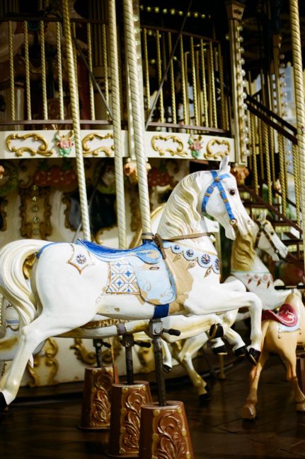 Elegant vintage carousel horse at an amusement park in Nice, France, showcasing classic design.