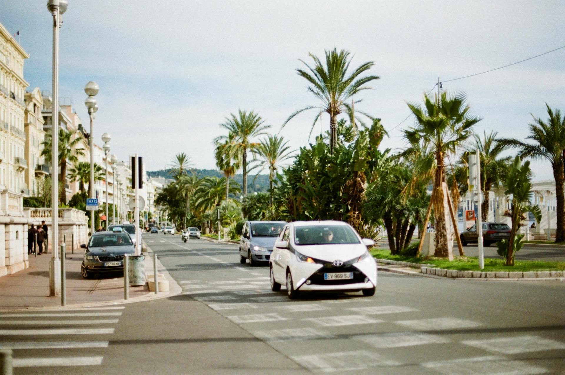 Cars driving along a palm-lined street in Nice, exemplifying urban travel in Provence-Alpes-Côte d'Azur, France.