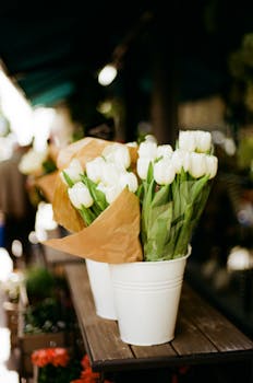 Elegant white tulips in a flower market in Nice, France, showcasing natural beauty and charm.