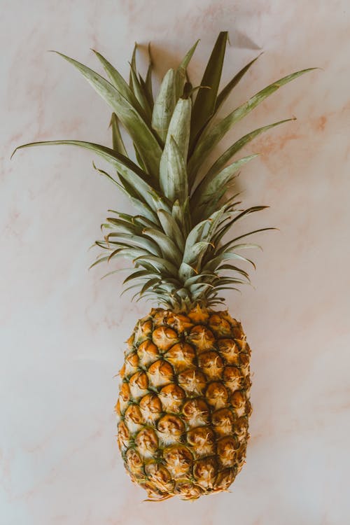 Close-Up Shot of a Pineapple 