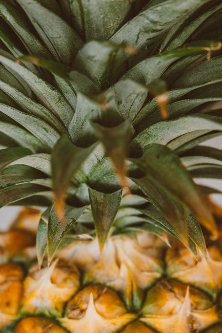 Detailed shot of a fresh pineapple, showcasing green leaves and textured skin.