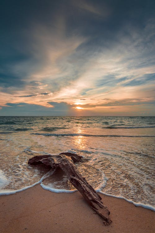 Scenic View of a Beach during Sunset