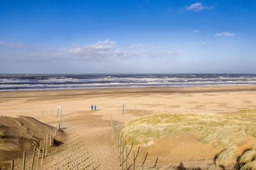 Sandy Beach on Windy Day