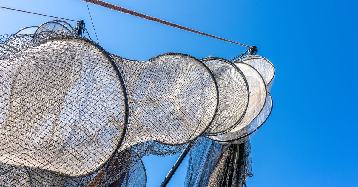 How Risky Is Offering Net 30 to New Retailers?